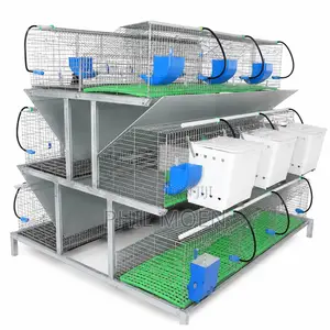 Rabbit and Poultry Cages