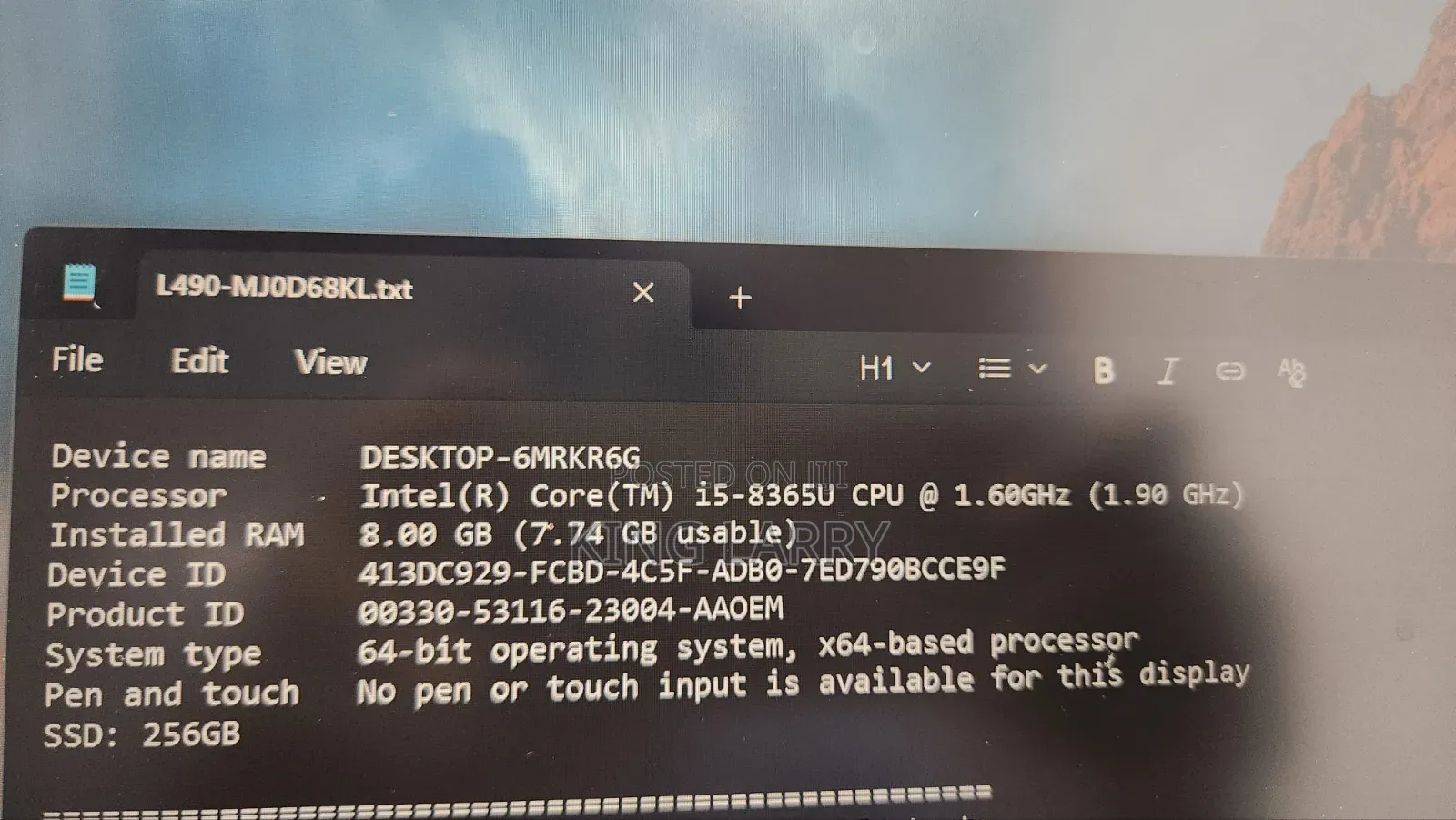 Laptop Lenovo ThinkPad L490 8GB Intel Core i5 SSD 256GB