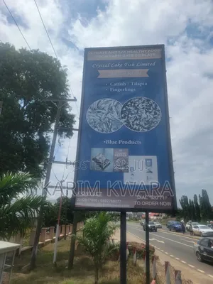 Advertisement Billboard For Rent On The New Spintex Road