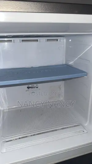 Samsung Fridge