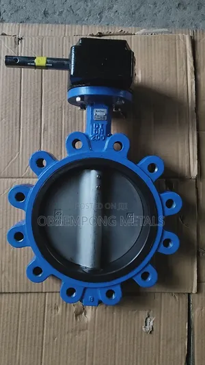 8" Lug Butterfly Valve Stainless Tong Pn16 Gear Type