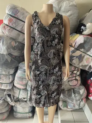 Lady’S Polysilk Dress