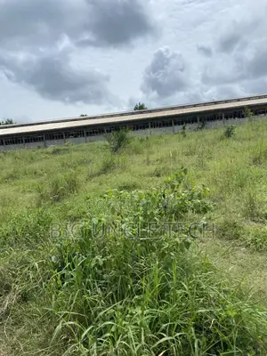Investment Land for Sale