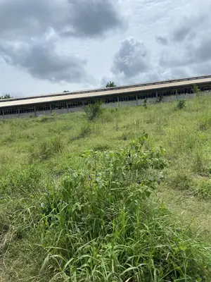 Investment Land for Sale at Dwenewoho. (10mins Drive From Mogpa)