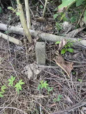 Investment Land for Sale