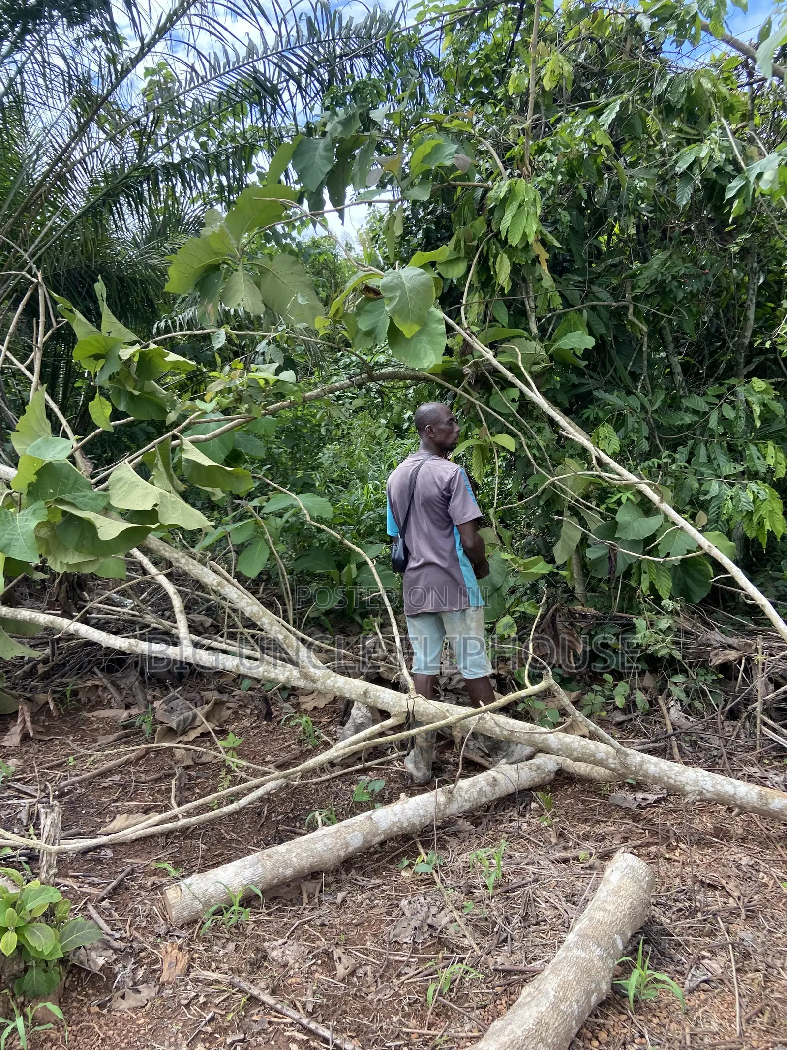 Investment Land for Sale at Dwenewoho. (10mins Drive From Mogpa)