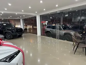 Car Salesperson Need