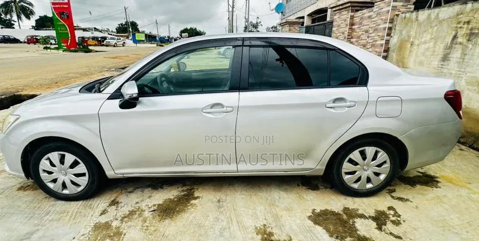 Toyota Axio 2012 Gray