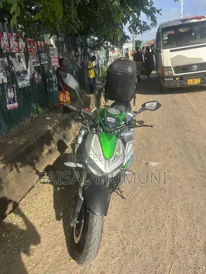 Kawasaki 2020 Green
