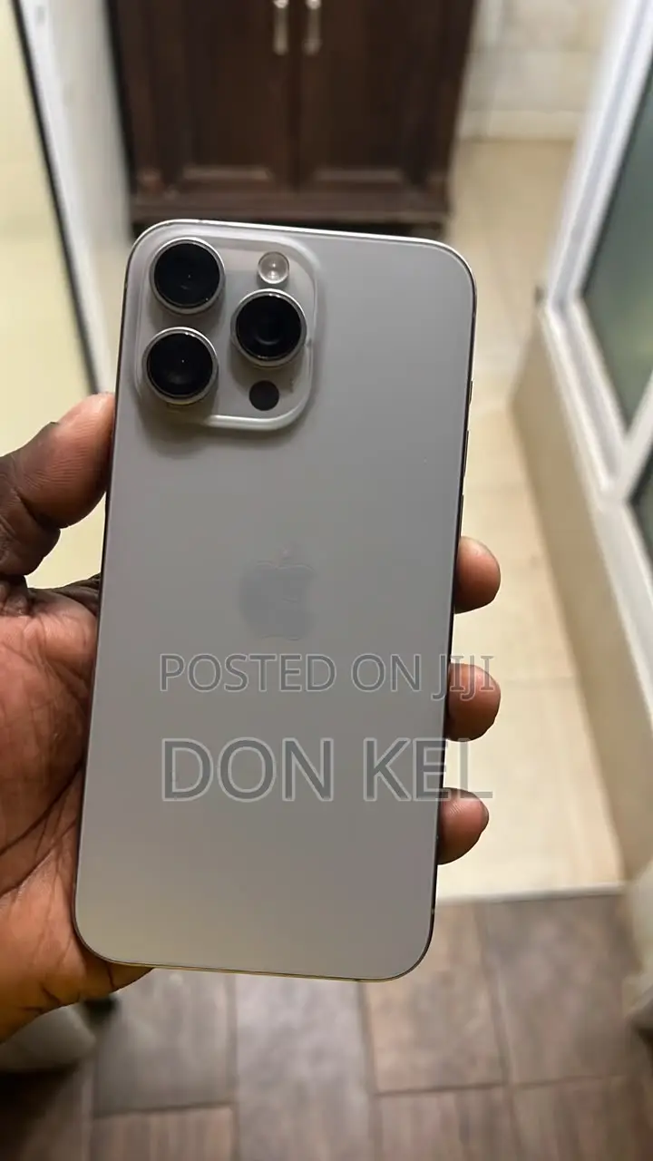 Apple iPhone 15 Pro Max 256 GB Gray
