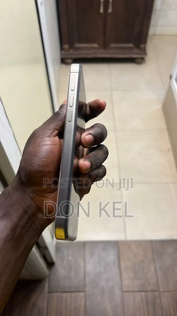 Apple iPhone 15 Pro Max 256 GB Gray