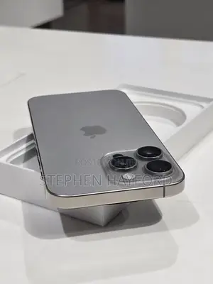 Apple iPhone 15 Pro Max 256 GB Silver