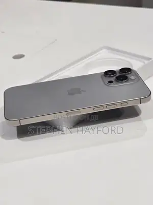 Apple iPhone 15 Pro Max 256 GB Silver