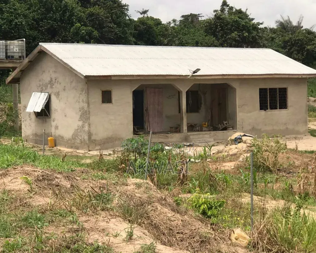 6 Acre Farm for Sale/Lease – Cctv, Auto Drinkers