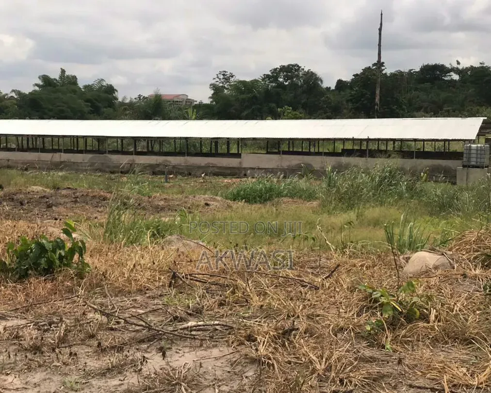 6 Acre Farm for Sale/Lease – Cctv, Auto Drinkers