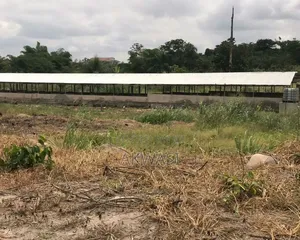 6 Acre Farm for Sale/Lease – Cctv, Auto Drinkers