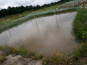 6 Acre Farm for Sale/Lease – Cctv, Auto Drinkers
