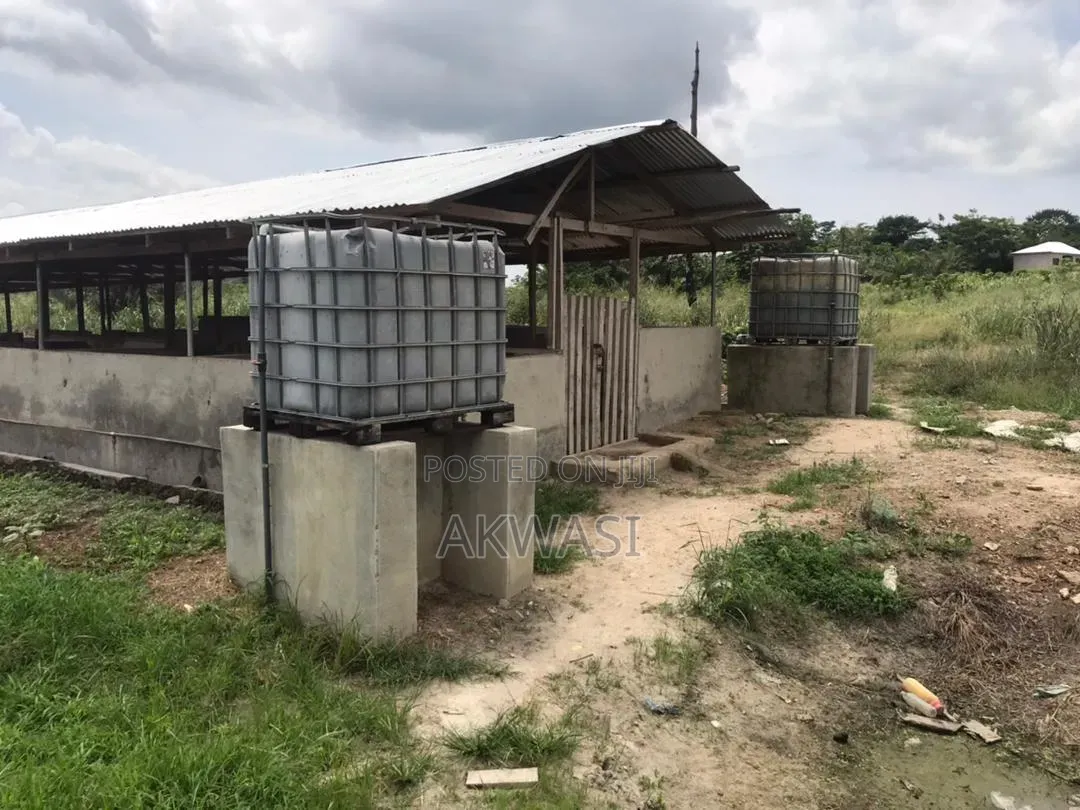 6 Acre Farm for Sale/Lease – Cctv, Auto Drinkers