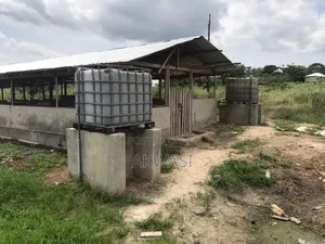 6 Acre Farm for Sale/Lease – Cctv, Auto Drinkers