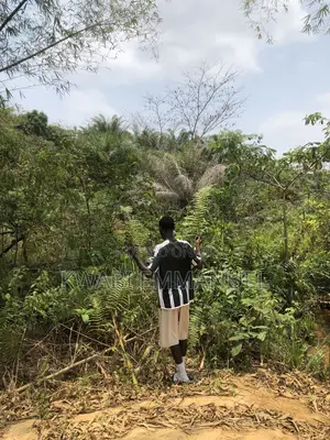 Land for Sale at Abuakwa Road Asampanay3