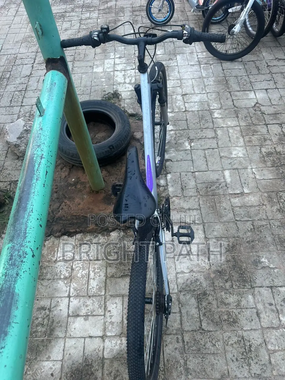 Adult Bicycle