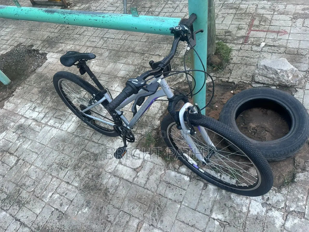 Adult Bicycle