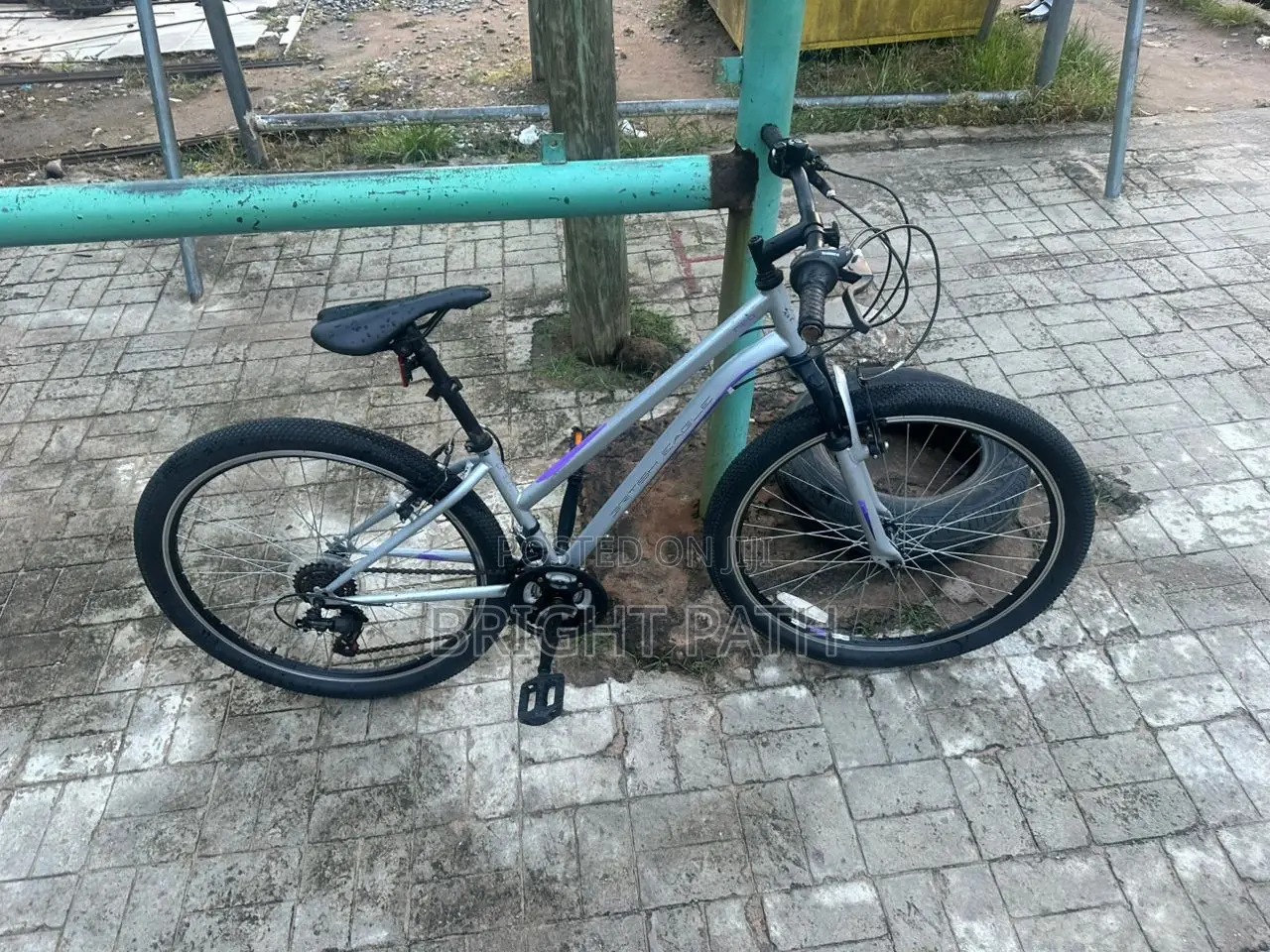 Adult Bicycle