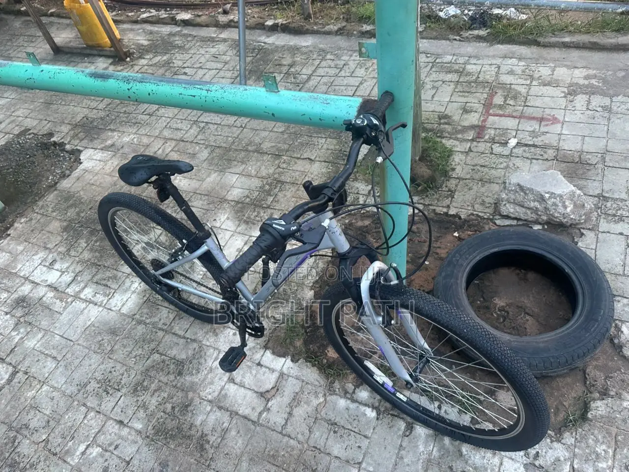 Adult Bicycle