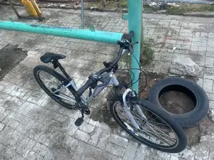 Adult Bicycle