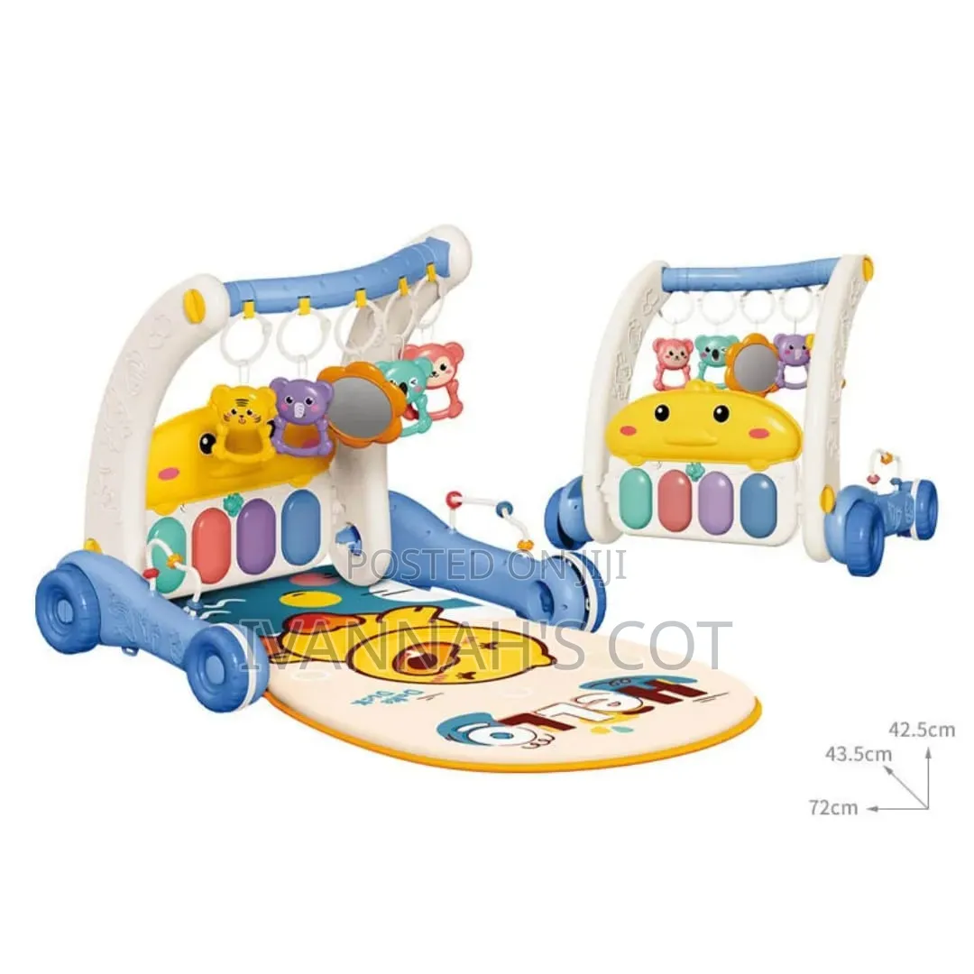 Baby 2 In 1 Play Mat And Walker