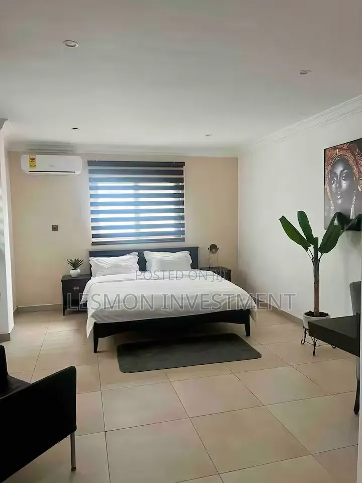 Furnished 1bdrm Apartment in Lesmon Investment, Oxford Street for rent