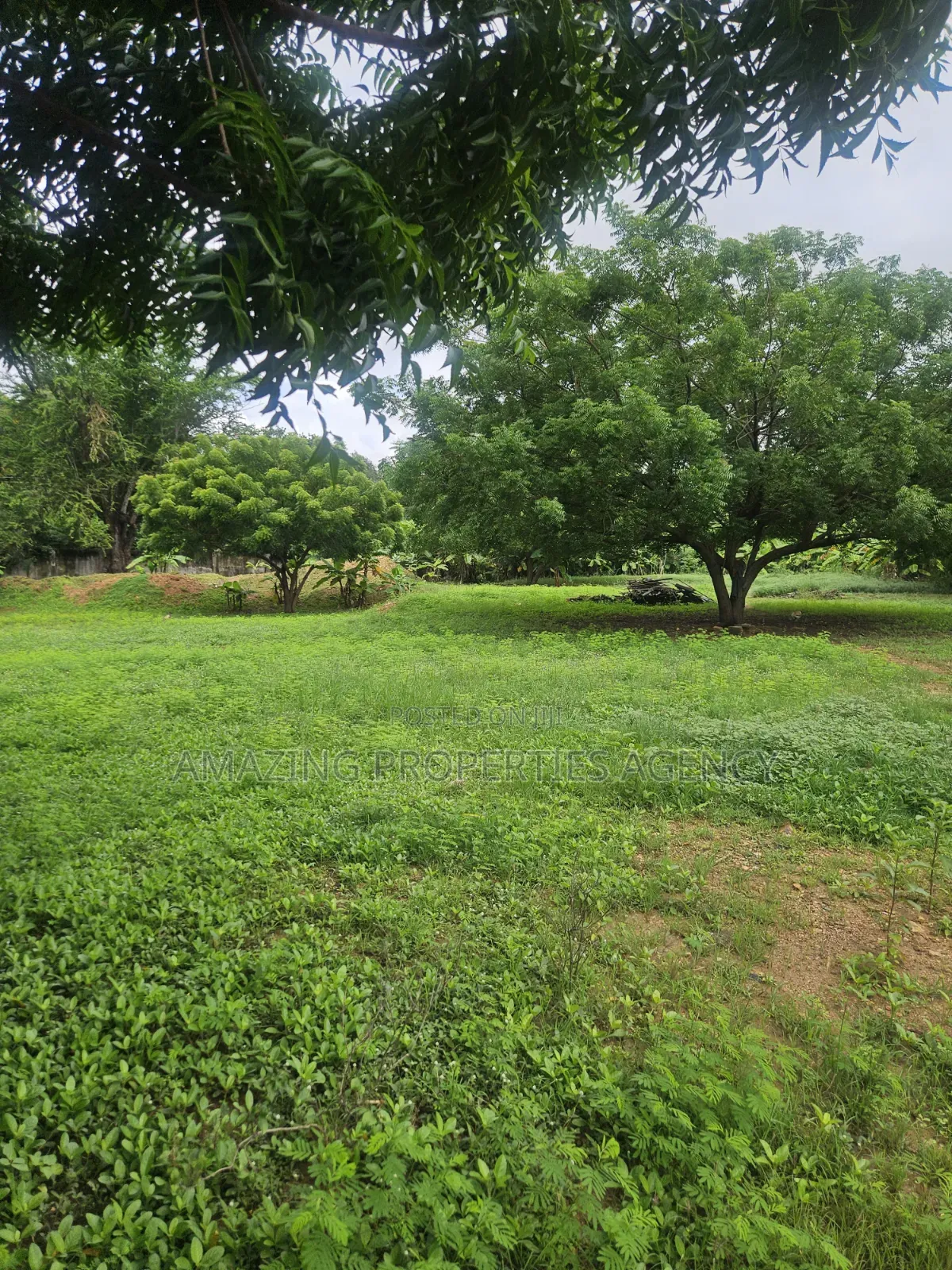 0.80 Acres of Land Available for Sale at Cantonment,