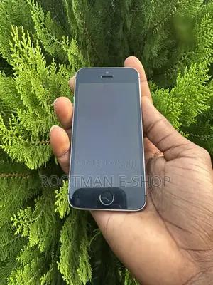 Apple iPhone SE 64 GB Gray