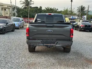 Ford F-150 2016 Gray