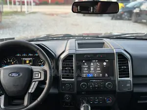 Ford F-150 2016 Gray