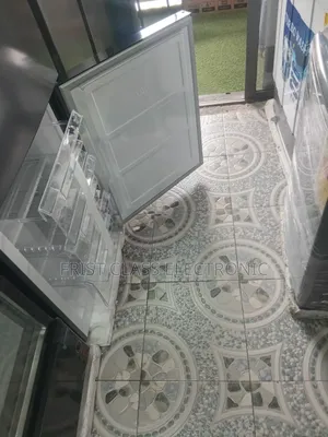 Freshness Without Limits | Roch Bottom Freezer Fridge