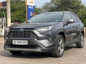 Toyota RAV4 Limited AWD 2019 Gray