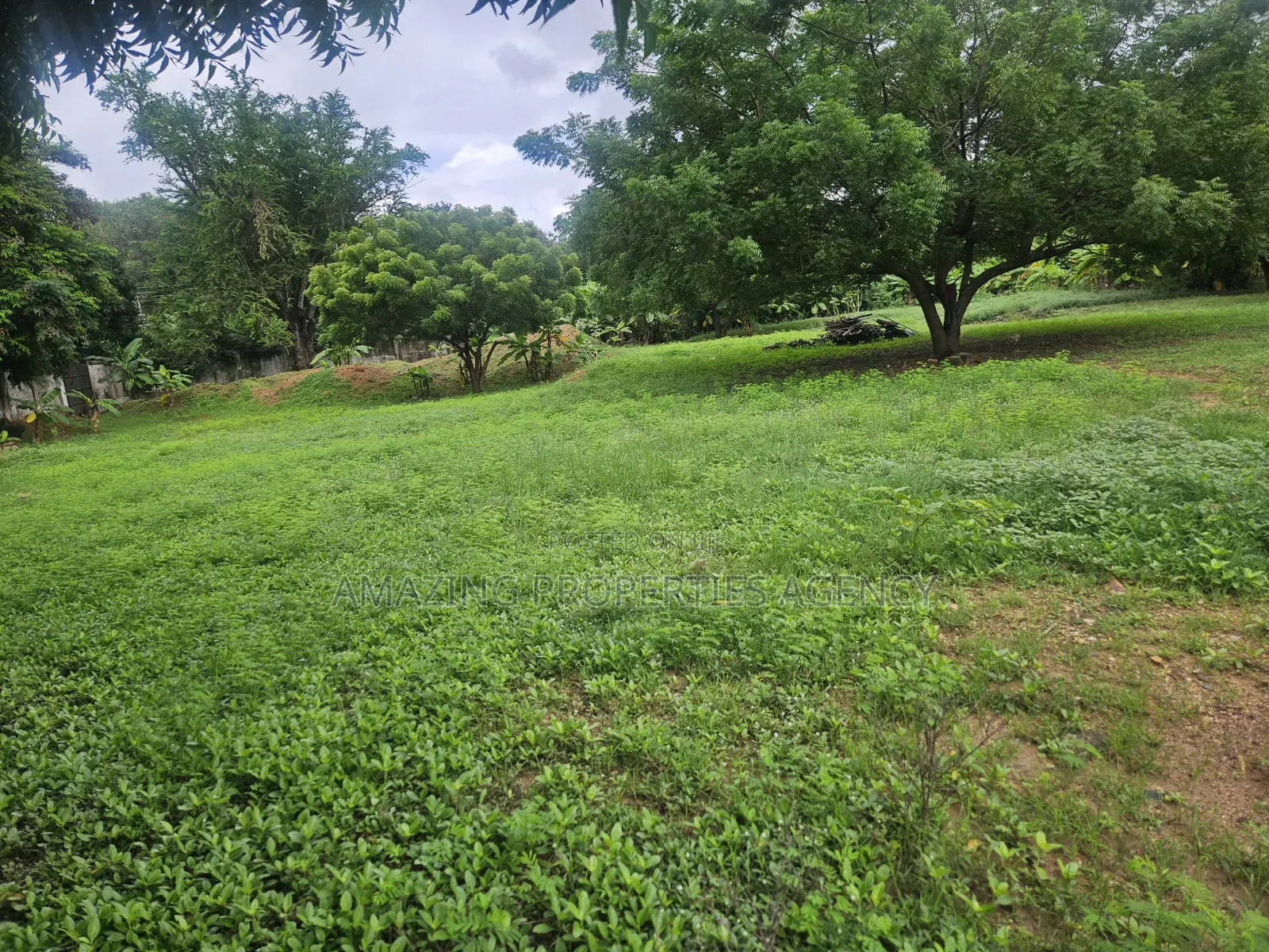 A 5.89 Acres of Main Roadside Commercial Land for Sale at the Airport