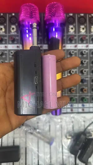 2 in 1 Wireless Microphones