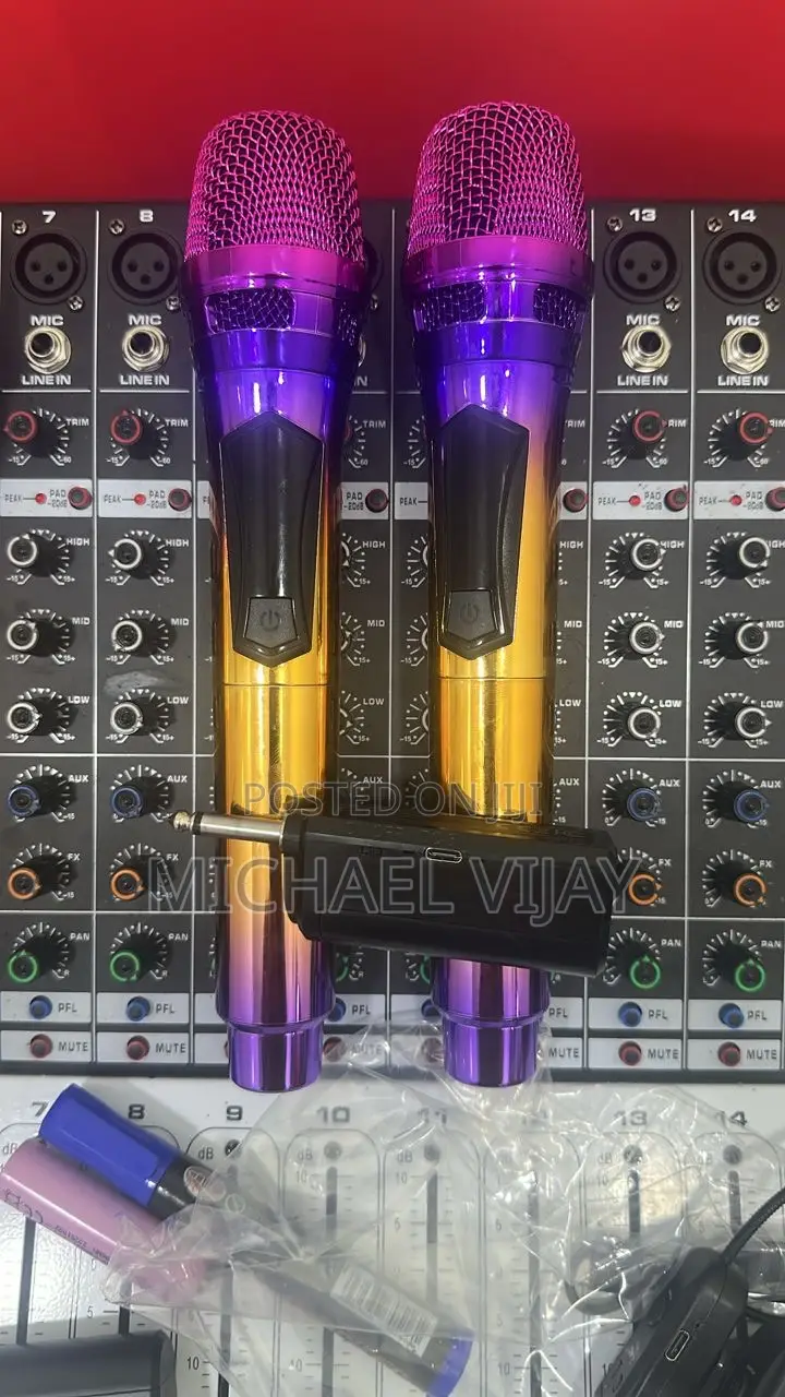 2 in 1 Wireless Microphones