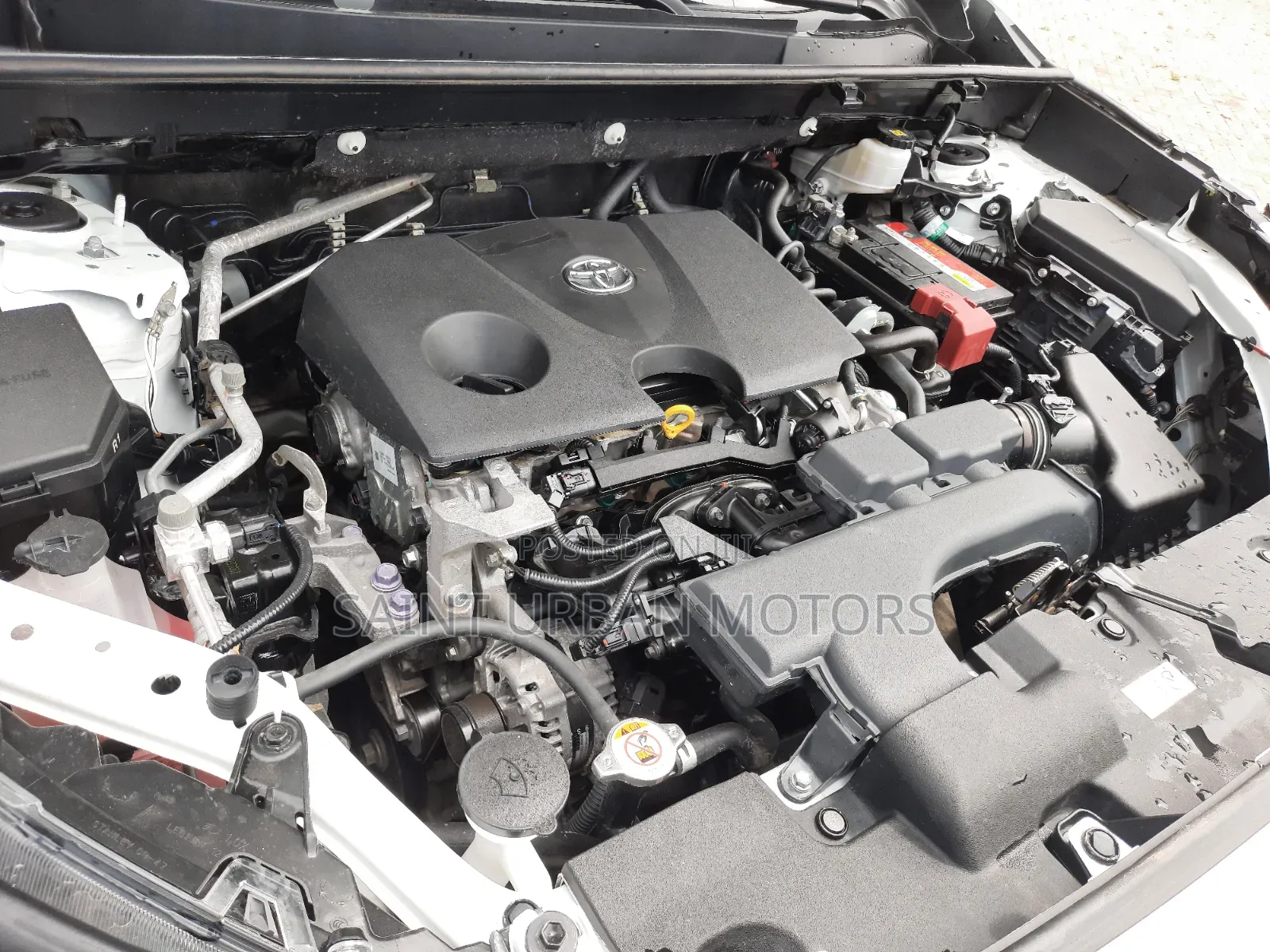 Toyota RAV4 2023 White