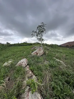 2 Plots of Land