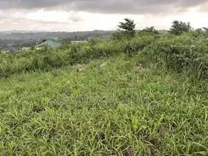2 Plots of Land