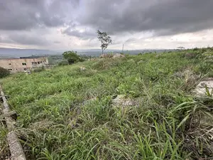 2 Plots of Land