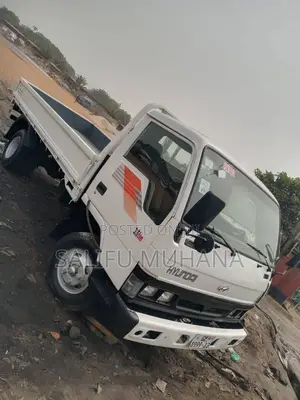 Hyundai Mighty 1