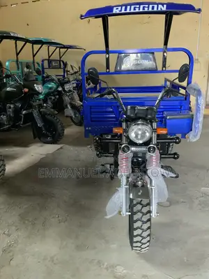 New Tricycle 2025 Blue