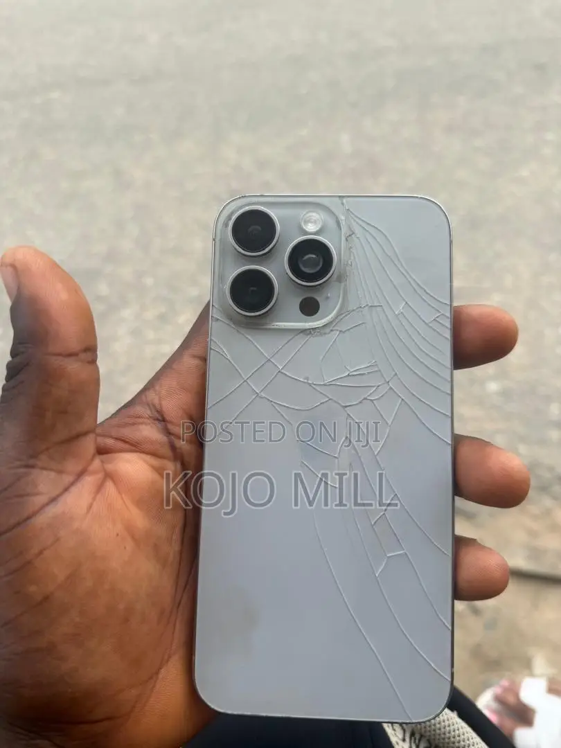 Apple iPhone 15 Pro Max 256 GB Silver