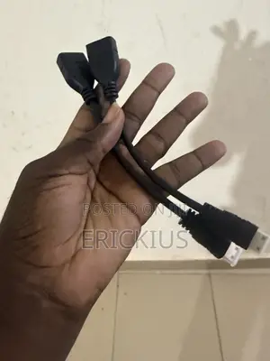 Two Gold Plated Hdmi to Mini Hdmi