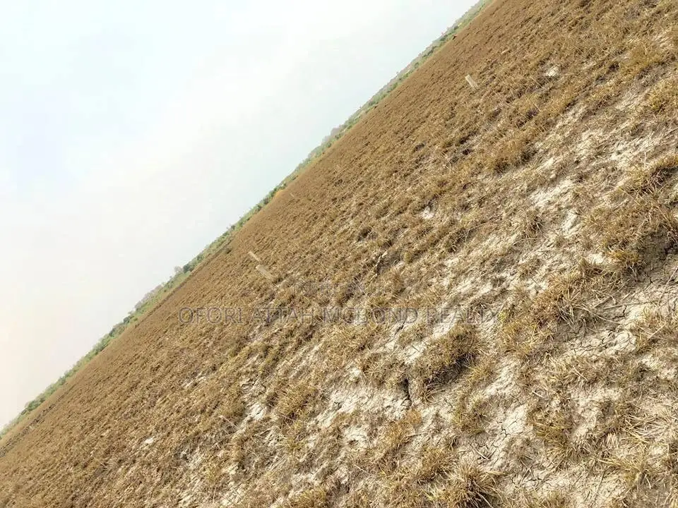Secured Full Plots- Tsopoli Airport City (Estate) Lands for Sale !