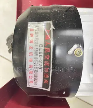 Diesel Pump 550w 220v Electric Diesel Pump Self-Priming 60l/Min